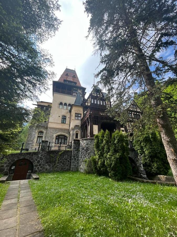 Wood Studio Sinaia Extérieur photo